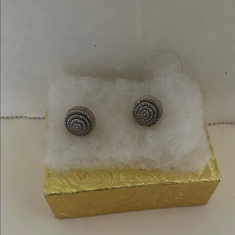 Elegant Silver Stud Earrings